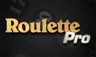Roulette Croupier